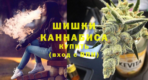 сатива Абинск