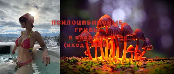 сатива Абинск